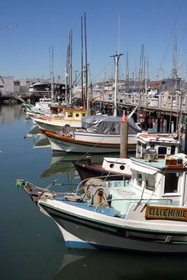 Fisherman's Wharf 8595fix800.jpg