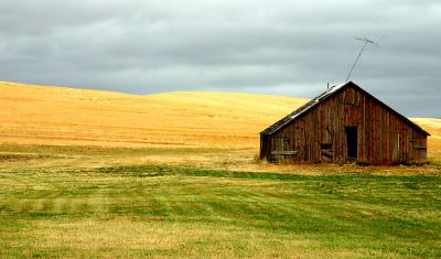 Barn in The Palouse 8154