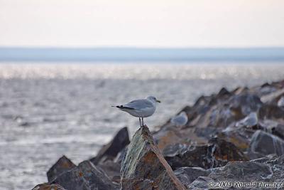 Presque Isle Harbor Breakwater