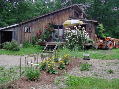 6.03 new bed/plants