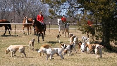 Foxhunting from Hopewell Territory 14 March