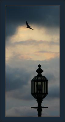 IMG_1860w.jpg