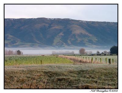 Misty Meadows
