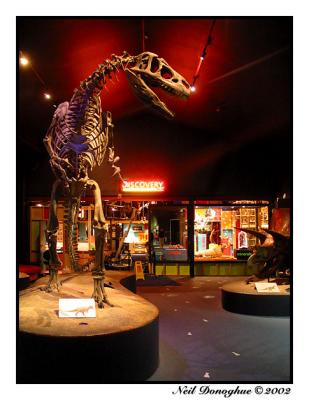 Museum