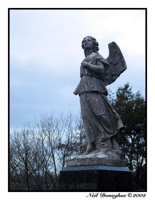 Winter Angel