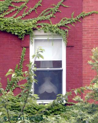 Fells Pt Window
