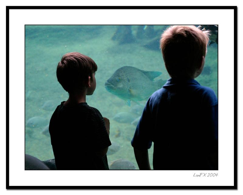 Staring-Contest.jpg