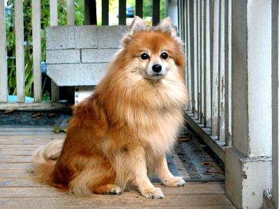 Teddy_1125.jpg