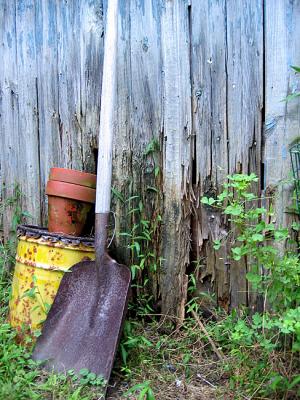 Weathered_1414.jpg