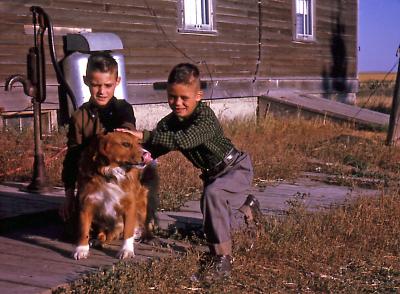 Mike, Chris and Rex at farm; Diana, Sask., 1964