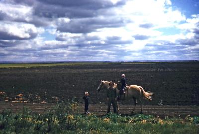 Paul, Steve, and Greg at Fred and Hattie's farm; Wilcox, Sask., 1953