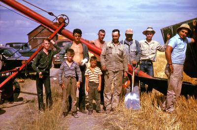 Terry, Mike, Greg, Chris, Murray, Carl, Fred, Kevin, and Paul at farm; Wilcox, Sask., 1962