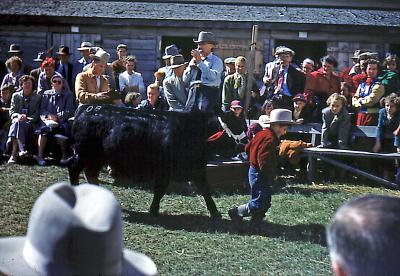 4-H Club at Moose Jaw Fair; Moose Jaw, Sask., 1953
