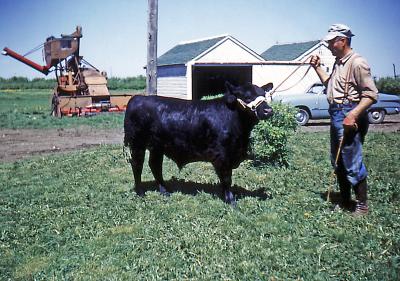 Fred at Fred and Hattie's farm; Wilcox, Sask.,