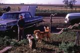 Chris and dogs at farm; Diana, Sask., 1964