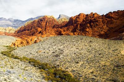 Nevada: Red Rock Wash