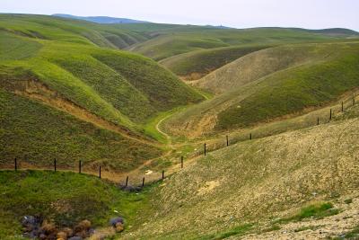 California: Green Contours