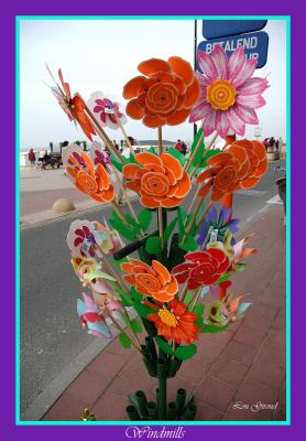 Windmills - Aug. 30-04