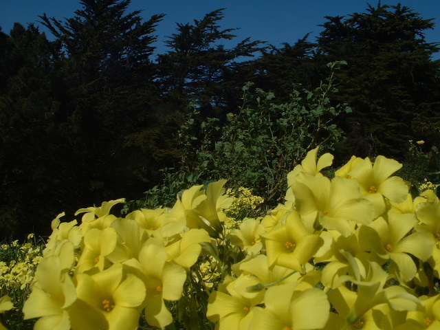 DSCF0082.JPG