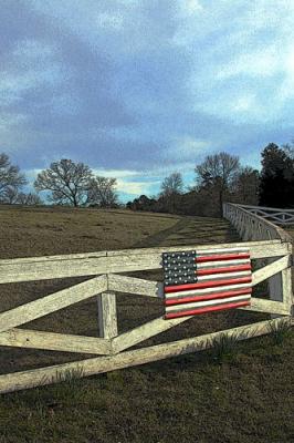 Fence-and-Flag.jpg