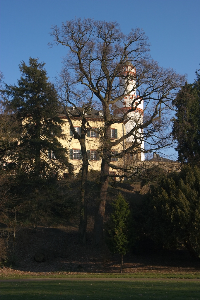 View up to the Castle from the park