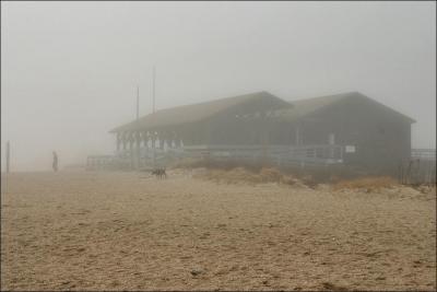 building in the fog