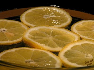 DSCN4236_lemons.jpg