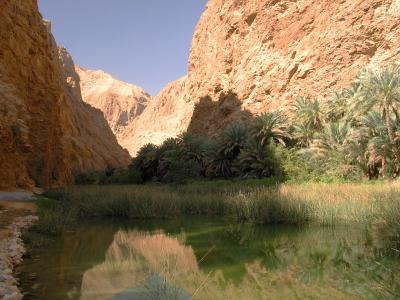 Wadi Shab1