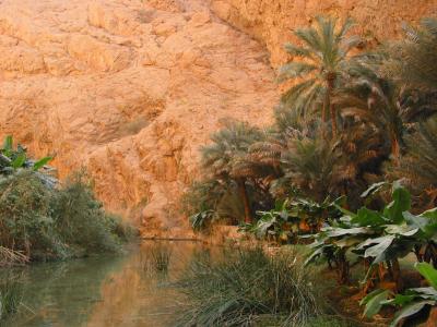 Wadi Shab3