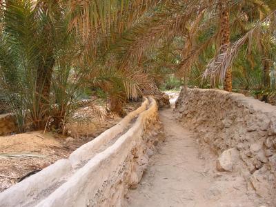 Wadi Shab5