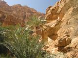 Wadi Shab5