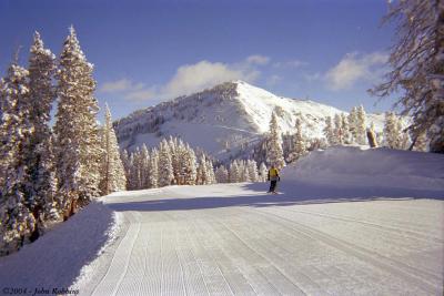 Utah Skiing 2004