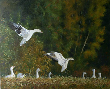 5 à 7 à Cap Tourmente - Huile 20 X 24 - Collection privée