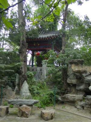 DSC04270.JPG