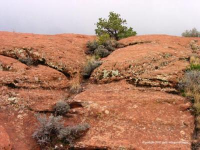 red rocks