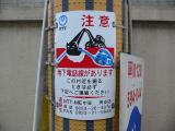IMG_0591.JPG