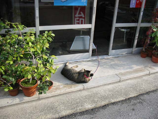 IMG_0563.JPG
