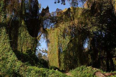 Parque Central