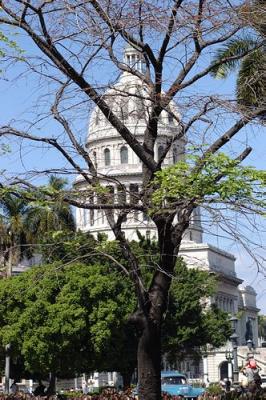 Capitolio Nacional