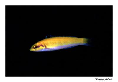 u41/mandrade/medium/26610473.cuba200443.jpg
