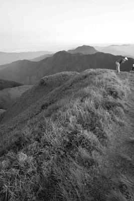 grassland bw3.jpg