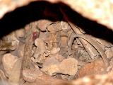 079 Cave of the Seven Sleepers.jpg