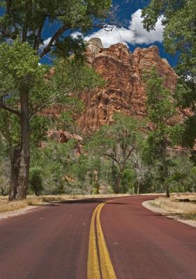 Zion red road