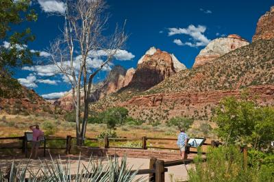 Zion museum