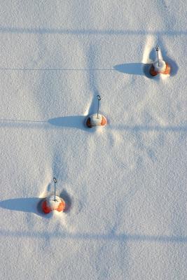 Snowy bouys on ice 1
