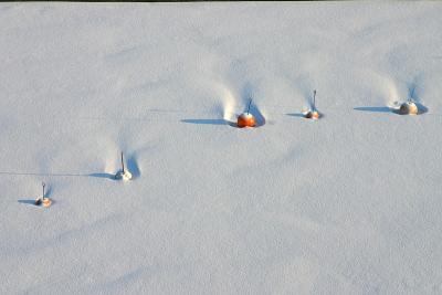 Snowy bouys on ice 3