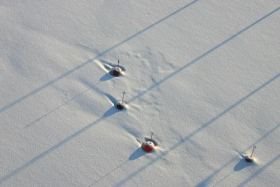 Snowy bouys on ice 4