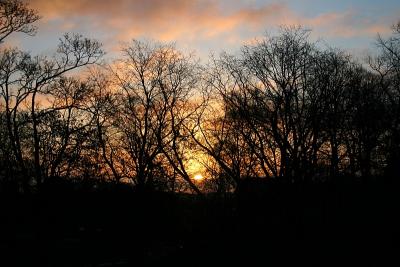 Sunrise over Kronobergsparken
