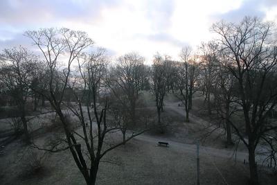 Feb 8: Frosty morning in the park