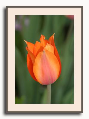 IMG_6750{Q} F.jpg